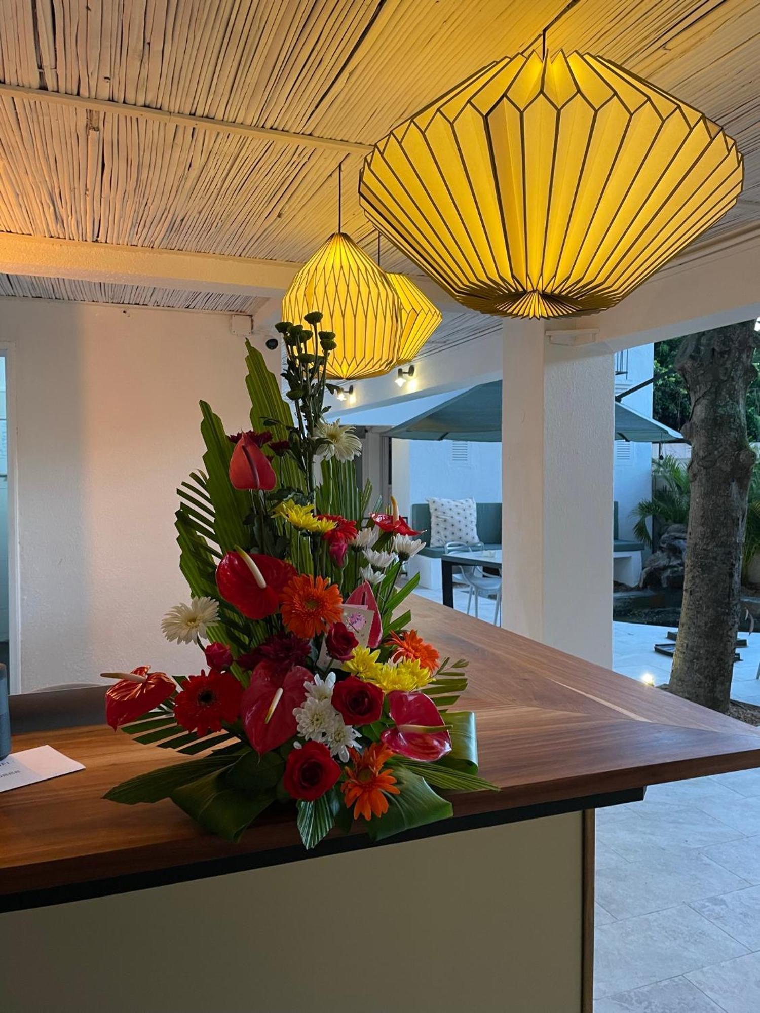 Hotel Cosy Sous Le Badamier Grand Bay